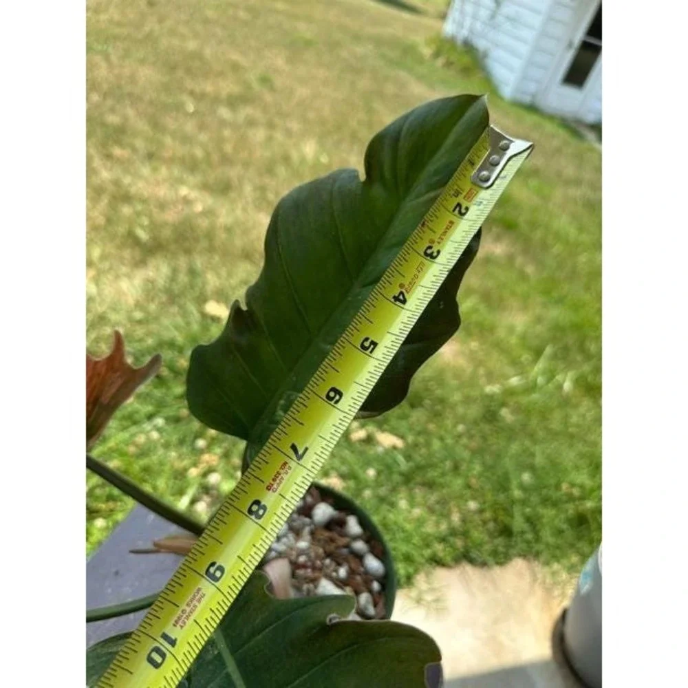 N/A this listing